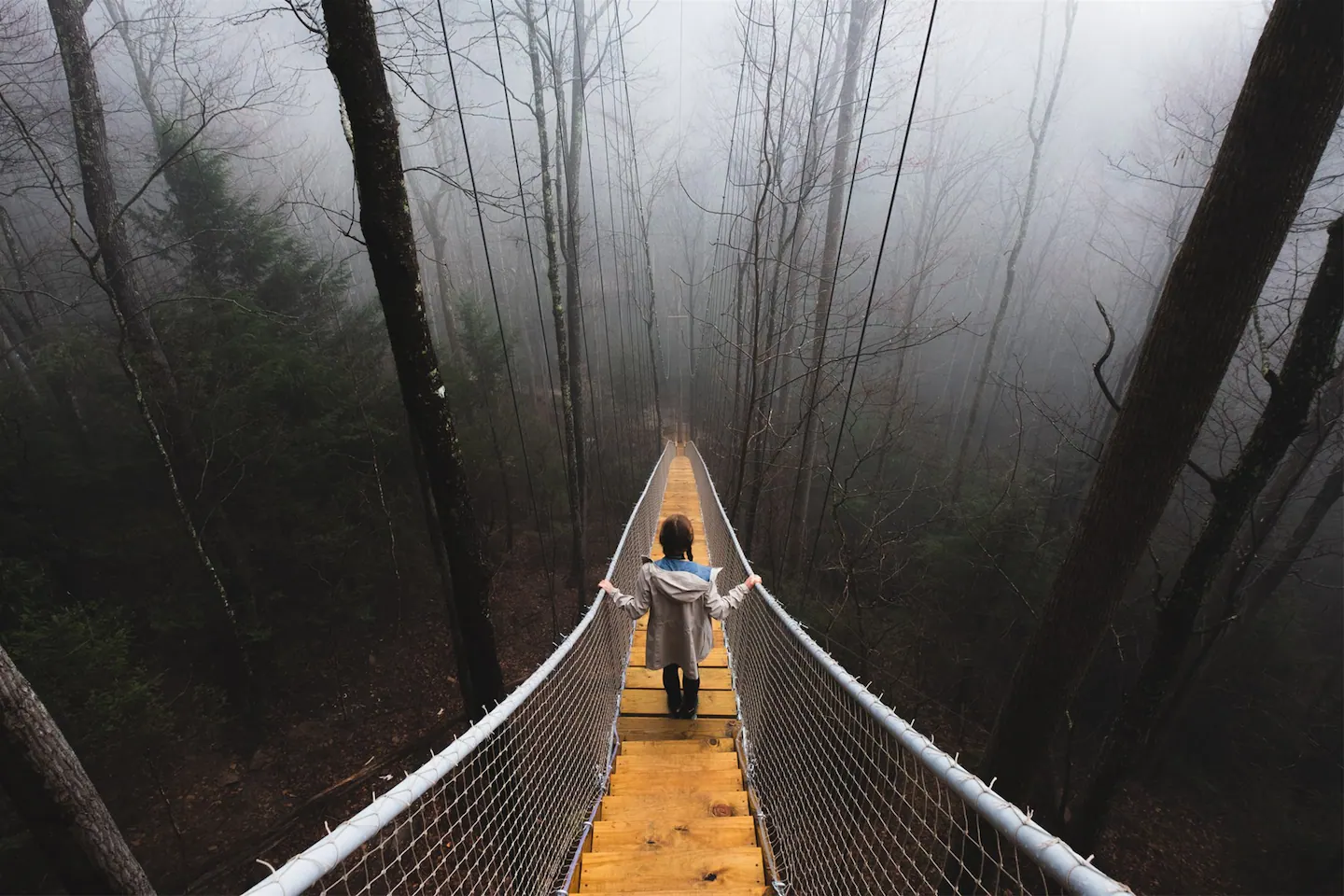 Feel the fog drifting through the woods.